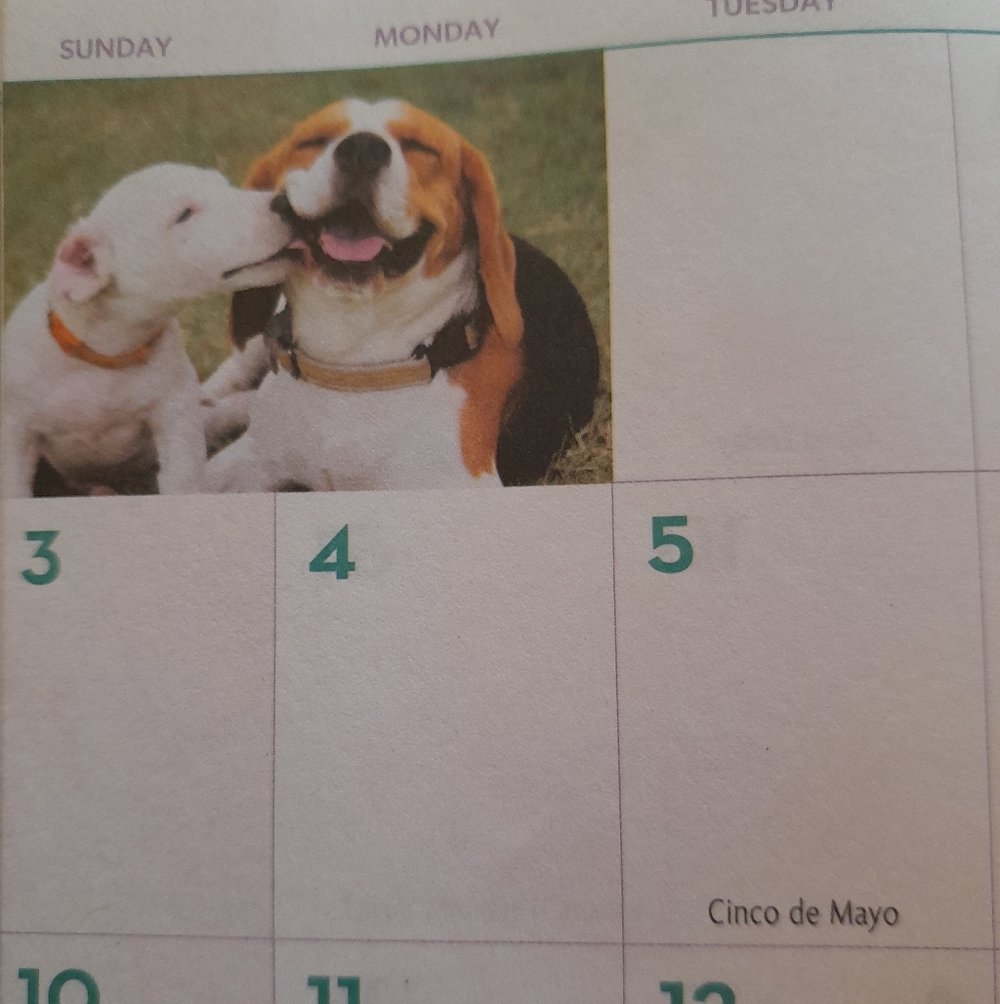 Two-Year Planner With Dogs - Picture 6 of 10